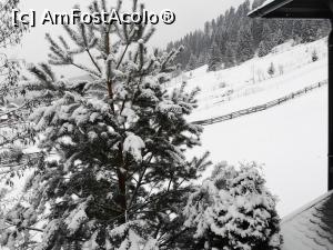 [P13] Vedere din balcon » foto by DOINITA
 - 
<span class="allrVoted glyphicon glyphicon-heart hidden" id="av1049456"></span>
<a class="m-l-10 hidden" id="sv1049456" onclick="voting_Foto_DelVot(,1049456,2521)" role="button">șterge vot <span class="glyphicon glyphicon-remove"></span></a>
<a id="v91049456" class=" c-red"  onclick="voting_Foto_SetVot(1049456)" role="button"><span class="glyphicon glyphicon-heart-empty"></span> <b>LIKE</b> = Votează poza</a> <img class="hidden"  id="f1049456W9" src="/imagini/loader.gif" border="0" /><span class="AjErrMes hidden" id="e1049456ErM"></span>