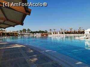 [P02] Piscina principala » foto by daniel adrian
 - 
<span class="allrVoted glyphicon glyphicon-heart hidden" id="av1080472"></span>
<a class="m-l-10 hidden" id="sv1080472" onclick="voting_Foto_DelVot(,1080472,2531)" role="button">șterge vot <span class="glyphicon glyphicon-remove"></span></a>
<a id="v91080472" class=" c-red"  onclick="voting_Foto_SetVot(1080472)" role="button"><span class="glyphicon glyphicon-heart-empty"></span> <b>LIKE</b> = Votează poza</a> <img class="hidden"  id="f1080472W9" src="/imagini/loader.gif" border="0" /><span class="AjErrMes hidden" id="e1080472ErM"></span>