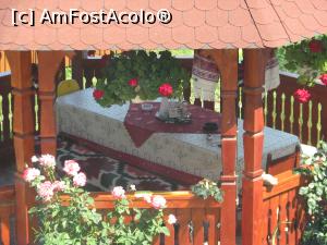 [P01] Foisor » foto by aris_crina
 - 
<span class="allrVoted glyphicon glyphicon-heart hidden" id="av914261"></span>
<a class="m-l-10 hidden" id="sv914261" onclick="voting_Foto_DelVot(,914261,2537)" role="button">șterge vot <span class="glyphicon glyphicon-remove"></span></a>
<a id="v9914261" class=" c-red"  onclick="voting_Foto_SetVot(914261)" role="button"><span class="glyphicon glyphicon-heart-empty"></span> <b>LIKE</b> = Votează poza</a> <img class="hidden"  id="f914261W9" src="/imagini/loader.gif" border="0" /><span class="AjErrMes hidden" id="e914261ErM"></span>