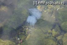 [P06]  -- <small>// FĂRĂ DESCRIERE</small> » foto by vladcezar
 - 
<span class="allrVoted glyphicon glyphicon-heart hidden" id="av238199"></span>
<a class="m-l-10 hidden" id="sv238199" onclick="voting_Foto_DelVot(,238199,2552)" role="button">șterge vot <span class="glyphicon glyphicon-remove"></span></a>
<a id="v9238199" class=" c-red"  onclick="voting_Foto_SetVot(238199)" role="button"><span class="glyphicon glyphicon-heart-empty"></span> <b>LIKE</b> = Votează poza</a> <img class="hidden"  id="f238199W9" src="/imagini/loader.gif" border="0" /><span class="AjErrMes hidden" id="e238199ErM"></span>