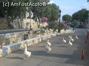 [P08] Centrul din Noussa, o strada lunga ce coboara spre port » foto by dorgo
 - 
<span class="allrVoted glyphicon glyphicon-heart hidden" id="av765228"></span>
<a class="m-l-10 hidden" id="sv765228" onclick="voting_Foto_DelVot(,765228,2566)" role="button">șterge vot <span class="glyphicon glyphicon-remove"></span></a>
<a id="v9765228" class=" c-red"  onclick="voting_Foto_SetVot(765228)" role="button"><span class="glyphicon glyphicon-heart-empty"></span> <b>LIKE</b> = Votează poza</a> <img class="hidden"  id="f765228W9" src="/imagini/loader.gif" border="0" /><span class="AjErrMes hidden" id="e765228ErM"></span>