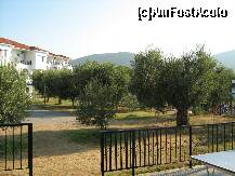 [P38] In fata se vede o parte din livada cu maslini a hotelului Sonia, in spate una din cladiri. Orice grec trebuie sa aiba livada cu maslini, altfel nu e grec...NU SUNT COMESTIBILE CRUDE!!! » foto by pitic25
 - 
<span class="allrVoted glyphicon glyphicon-heart hidden" id="av211539"></span>
<a class="m-l-10 hidden" id="sv211539" onclick="voting_Foto_DelVot(,211539,2570)" role="button">șterge vot <span class="glyphicon glyphicon-remove"></span></a>
<a id="v9211539" class=" c-red"  onclick="voting_Foto_SetVot(211539)" role="button"><span class="glyphicon glyphicon-heart-empty"></span> <b>LIKE</b> = Votează poza</a> <img class="hidden"  id="f211539W9" src="/imagini/loader.gif" border="0" /><span class="AjErrMes hidden" id="e211539ErM"></span>