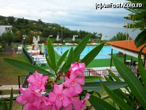 [P17] din nou, la hotelul Sonia » foto by alina35
 - 
<span class="allrVoted glyphicon glyphicon-heart hidden" id="av629946"></span>
<a class="m-l-10 hidden" id="sv629946" onclick="voting_Foto_DelVot(,629946,2570)" role="button">șterge vot <span class="glyphicon glyphicon-remove"></span></a>
<a id="v9629946" class=" c-red"  onclick="voting_Foto_SetVot(629946)" role="button"><span class="glyphicon glyphicon-heart-empty"></span> <b>LIKE</b> = Votează poza</a> <img class="hidden"  id="f629946W9" src="/imagini/loader.gif" border="0" /><span class="AjErrMes hidden" id="e629946ErM"></span>