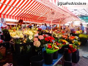 [P16] Cours Saleya » foto by Ammelie
 - 
<span class="allrVoted glyphicon glyphicon-heart hidden" id="av623037"></span>
<a class="m-l-10 hidden" id="sv623037" onclick="voting_Foto_DelVot(,623037,2571)" role="button">șterge vot <span class="glyphicon glyphicon-remove"></span></a>
<a id="v9623037" class=" c-red"  onclick="voting_Foto_SetVot(623037)" role="button"><span class="glyphicon glyphicon-heart-empty"></span> <b>LIKE</b> = Votează poza</a> <img class="hidden"  id="f623037W9" src="/imagini/loader.gif" border="0" /><span class="AjErrMes hidden" id="e623037ErM"></span>