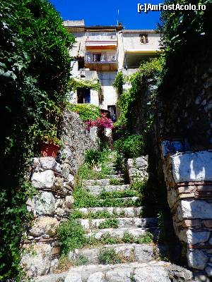 [P56] St. Paul de Vence » foto by Ammelie
 - 
<span class="allrVoted glyphicon glyphicon-heart hidden" id="av623079"></span>
<a class="m-l-10 hidden" id="sv623079" onclick="voting_Foto_DelVot(,623079,2571)" role="button">șterge vot <span class="glyphicon glyphicon-remove"></span></a>
<a id="v9623079" class=" c-red"  onclick="voting_Foto_SetVot(623079)" role="button"><span class="glyphicon glyphicon-heart-empty"></span> <b>LIKE</b> = Votează poza</a> <img class="hidden"  id="f623079W9" src="/imagini/loader.gif" border="0" /><span class="AjErrMes hidden" id="e623079ErM"></span>