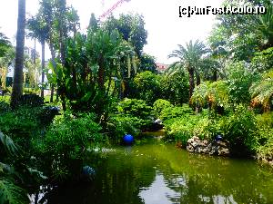 [P09] Parcul de vizavi de Cazino » foto by Ammelie
 - 
<span class="allrVoted glyphicon glyphicon-heart hidden" id="av623022"></span>
<a class="m-l-10 hidden" id="sv623022" onclick="voting_Foto_DelVot(,623022,2571)" role="button">șterge vot <span class="glyphicon glyphicon-remove"></span></a>
<a id="v9623022" class=" c-red"  onclick="voting_Foto_SetVot(623022)" role="button"><span class="glyphicon glyphicon-heart-empty"></span> <b>LIKE</b> = Votează poza</a> <img class="hidden"  id="f623022W9" src="/imagini/loader.gif" border="0" /><span class="AjErrMes hidden" id="e623022ErM"></span>