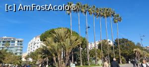 [P20] Cannes » foto by DanSta
 - 
<span class="allrVoted glyphicon glyphicon-heart hidden" id="av1412018"></span>
<a class="m-l-10 hidden" id="sv1412018" onclick="voting_Foto_DelVot(,1412018,2571)" role="button">șterge vot <span class="glyphicon glyphicon-remove"></span></a>
<a id="v91412018" class=" c-red"  onclick="voting_Foto_SetVot(1412018)" role="button"><span class="glyphicon glyphicon-heart-empty"></span> <b>LIKE</b> = Votează poza</a> <img class="hidden"  id="f1412018W9" src="/imagini/loader.gif" border="0" /><span class="AjErrMes hidden" id="e1412018ErM"></span>