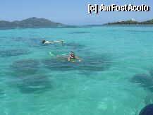 [P2x] snorkeling... fantastic! » foto by dusilumi
 - 
<span class="allrVoted glyphicon glyphicon-heart hidden" id="av8274"></span>
<a class="m-l-10 hidden" id="sv8274" onclick="voting_Foto_DelVot(,8274,2575)" role="button">șterge vot <span class="glyphicon glyphicon-remove"></span></a>
<a id="v98274" class=" c-red"  onclick="voting_Foto_SetVot(8274)" role="button"><span class="glyphicon glyphicon-heart-empty"></span> <b>LIKE</b> = Votează poza</a> <img class="hidden"  id="f8274W9" src="/imagini/loader.gif" border="0" /><span class="AjErrMes hidden" id="e8274ErM"></span>