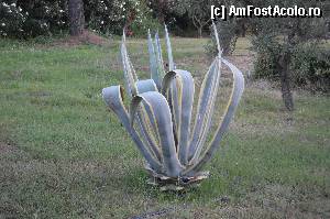 [P10] Cactus in gradina hotelului.  » foto by Basy
 - 
<span class="allrVoted glyphicon glyphicon-heart hidden" id="av342914"></span>
<a class="m-l-10 hidden" id="sv342914" onclick="voting_Foto_DelVot(,342914,2585)" role="button">șterge vot <span class="glyphicon glyphicon-remove"></span></a>
<a id="v9342914" class=" c-red"  onclick="voting_Foto_SetVot(342914)" role="button"><span class="glyphicon glyphicon-heart-empty"></span> <b>LIKE</b> = Votează poza</a> <img class="hidden"  id="f342914W9" src="/imagini/loader.gif" border="0" /><span class="AjErrMes hidden" id="e342914ErM"></span>