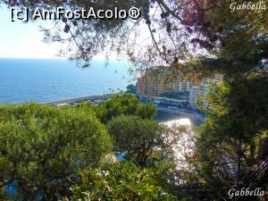 [P12] priveliste minunata asupra portului Fontvieille » foto by GabrielaG
 - 
<span class="allrVoted glyphicon glyphicon-heart hidden" id="av725145"></span>
<a class="m-l-10 hidden" id="sv725145" onclick="voting_Foto_DelVot(,725145,2586)" role="button">șterge vot <span class="glyphicon glyphicon-remove"></span></a>
<a id="v9725145" class=" c-red"  onclick="voting_Foto_SetVot(725145)" role="button"><span class="glyphicon glyphicon-heart-empty"></span> <b>LIKE</b> = Votează poza</a> <img class="hidden"  id="f725145W9" src="/imagini/loader.gif" border="0" /><span class="AjErrMes hidden" id="e725145ErM"></span>