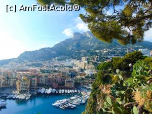 [P13] priveliste minunata asupra portului Fontvieille » foto by GabrielaG
 - 
<span class="allrVoted glyphicon glyphicon-heart hidden" id="av725146"></span>
<a class="m-l-10 hidden" id="sv725146" onclick="voting_Foto_DelVot(,725146,2586)" role="button">șterge vot <span class="glyphicon glyphicon-remove"></span></a>
<a id="v9725146" class=" c-red"  onclick="voting_Foto_SetVot(725146)" role="button"><span class="glyphicon glyphicon-heart-empty"></span> <b>LIKE</b> = Votează poza</a> <img class="hidden"  id="f725146W9" src="/imagini/loader.gif" border="0" /><span class="AjErrMes hidden" id="e725146ErM"></span>