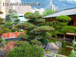 [P02] Gradinile Japoneze sau Jardin Japonais de Monaco.  » foto by GabrielaG
 - 
<span class="allrVoted glyphicon glyphicon-heart hidden" id="av725135"></span>
<a class="m-l-10 hidden" id="sv725135" onclick="voting_Foto_DelVot(,725135,2586)" role="button">șterge vot <span class="glyphicon glyphicon-remove"></span></a>
<a id="v9725135" class=" c-red"  onclick="voting_Foto_SetVot(725135)" role="button"><span class="glyphicon glyphicon-heart-empty"></span> <b>LIKE</b> = Votează poza</a> <img class="hidden"  id="f725135W9" src="/imagini/loader.gif" border="0" /><span class="AjErrMes hidden" id="e725135ErM"></span>