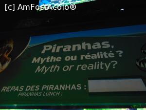 [P11] Pirana chiar erau draguti sa stiti » foto by GabrielaG
 - 
<span class="allrVoted glyphicon glyphicon-heart hidden" id="av725236"></span>
<a class="m-l-10 hidden" id="sv725236" onclick="voting_Foto_DelVot(,725236,2586)" role="button">șterge vot <span class="glyphicon glyphicon-remove"></span></a>
<a id="v9725236" class=" c-red"  onclick="voting_Foto_SetVot(725236)" role="button"><span class="glyphicon glyphicon-heart-empty"></span> <b>LIKE</b> = Votează poza</a> <img class="hidden"  id="f725236W9" src="/imagini/loader.gif" border="0" /><span class="AjErrMes hidden" id="e725236ErM"></span>