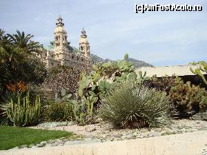 [P17] Cazinoul vazut din spate si terasa ce da spre mare... cactusii sunt la ei acasa » foto by mireille
 - 
<span class="allrVoted glyphicon glyphicon-heart hidden" id="av513932"></span>
<a class="m-l-10 hidden" id="sv513932" onclick="voting_Foto_DelVot(,513932,2586)" role="button">șterge vot <span class="glyphicon glyphicon-remove"></span></a>
<a id="v9513932" class=" c-red"  onclick="voting_Foto_SetVot(513932)" role="button"><span class="glyphicon glyphicon-heart-empty"></span> <b>LIKE</b> = Votează poza</a> <img class="hidden"  id="f513932W9" src="/imagini/loader.gif" border="0" /><span class="AjErrMes hidden" id="e513932ErM"></span>