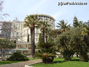 [P50] vegetatie tropicala in Monte Carlo » foto by mireille
 - 
<span class="allrVoted glyphicon glyphicon-heart hidden" id="av513987"></span>
<a class="m-l-10 hidden" id="sv513987" onclick="voting_Foto_DelVot(,513987,2586)" role="button">șterge vot <span class="glyphicon glyphicon-remove"></span></a>
<a id="v9513987" class=" c-red"  onclick="voting_Foto_SetVot(513987)" role="button"><span class="glyphicon glyphicon-heart-empty"></span> <b>LIKE</b> = Votează poza</a> <img class="hidden"  id="f513987W9" src="/imagini/loader.gif" border="0" /><span class="AjErrMes hidden" id="e513987ErM"></span>