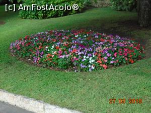 [P28] Rond cu flori în parcul Saint Martin din Monaco » foto by Mitica49
 - 
<span class="allrVoted glyphicon glyphicon-heart hidden" id="av1149049"></span>
<a class="m-l-10 hidden" id="sv1149049" onclick="voting_Foto_DelVot(,1149049,2586)" role="button">șterge vot <span class="glyphicon glyphicon-remove"></span></a>
<a id="v91149049" class=" c-red"  onclick="voting_Foto_SetVot(1149049)" role="button"><span class="glyphicon glyphicon-heart-empty"></span> <b>LIKE</b> = Votează poza</a> <img class="hidden"  id="f1149049W9" src="/imagini/loader.gif" border="0" /><span class="AjErrMes hidden" id="e1149049ErM"></span>