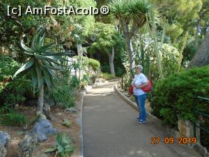[P29] Admirând luxurianta vegetație din parcul Saint Martin » foto by Mitica49
 - 
<span class="allrVoted glyphicon glyphicon-heart hidden" id="av1149050"></span>
<a class="m-l-10 hidden" id="sv1149050" onclick="voting_Foto_DelVot(,1149050,2586)" role="button">șterge vot <span class="glyphicon glyphicon-remove"></span></a>
<a id="v91149050" class=" c-red"  onclick="voting_Foto_SetVot(1149050)" role="button"><span class="glyphicon glyphicon-heart-empty"></span> <b>LIKE</b> = Votează poza</a> <img class="hidden"  id="f1149050W9" src="/imagini/loader.gif" border="0" /><span class="AjErrMes hidden" id="e1149050ErM"></span>