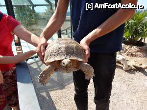 [P46] Terasa de pe Muzeul Oceanografic - colecţia prinţului de broaşte ţestoase » foto by nickro
 - 
<span class="allrVoted glyphicon glyphicon-heart hidden" id="av463298"></span>
<a class="m-l-10 hidden" id="sv463298" onclick="voting_Foto_DelVot(,463298,2586)" role="button">șterge vot <span class="glyphicon glyphicon-remove"></span></a>
<a id="v9463298" class=" c-red"  onclick="voting_Foto_SetVot(463298)" role="button"><span class="glyphicon glyphicon-heart-empty"></span> <b>LIKE</b> = Votează poza</a> <img class="hidden"  id="f463298W9" src="/imagini/loader.gif" border="0" /><span class="AjErrMes hidden" id="e463298ErM"></span>
