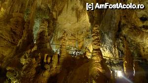 [P62] La grotte de l' observatoire din Grădina exotică » foto by nickro
 - 
<span class="allrVoted glyphicon glyphicon-heart hidden" id="av463323"></span>
<a class="m-l-10 hidden" id="sv463323" onclick="voting_Foto_DelVot(,463323,2586)" role="button">șterge vot <span class="glyphicon glyphicon-remove"></span></a>
<a id="v9463323" class=" c-red"  onclick="voting_Foto_SetVot(463323)" role="button"><span class="glyphicon glyphicon-heart-empty"></span> <b>LIKE</b> = Votează poza</a> <img class="hidden"  id="f463323W9" src="/imagini/loader.gif" border="0" /><span class="AjErrMes hidden" id="e463323ErM"></span>