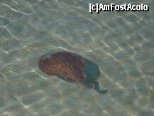 [P02]  -- <small>// FĂRĂ DESCRIERE</small> » foto by Catalin S.
 - 
<span class="allrVoted glyphicon glyphicon-heart hidden" id="av254780"></span>
<a class="m-l-10 hidden" id="sv254780" onclick="voting_Foto_DelVot(,254780,2590)" role="button">șterge vot <span class="glyphicon glyphicon-remove"></span></a>
<a id="v9254780" class=" c-red"  onclick="voting_Foto_SetVot(254780)" role="button"><span class="glyphicon glyphicon-heart-empty"></span> <b>LIKE</b> = Votează poza</a> <img class="hidden"  id="f254780W9" src="/imagini/loader.gif" border="0" /><span class="AjErrMes hidden" id="e254780ErM"></span>