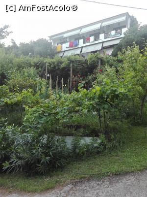 [P13] Villa Dimitra » foto by yuliansch
 - 
<span class="allrVoted glyphicon glyphicon-heart hidden" id="av882622"></span>
<a class="m-l-10 hidden" id="sv882622" onclick="voting_Foto_DelVot(,882622,2590)" role="button">șterge vot <span class="glyphicon glyphicon-remove"></span></a>
<a id="v9882622" class=" c-red"  onclick="voting_Foto_SetVot(882622)" role="button"><span class="glyphicon glyphicon-heart-empty"></span> <b>LIKE</b> = Votează poza</a> <img class="hidden"  id="f882622W9" src="/imagini/loader.gif" border="0" /><span class="AjErrMes hidden" id="e882622ErM"></span>