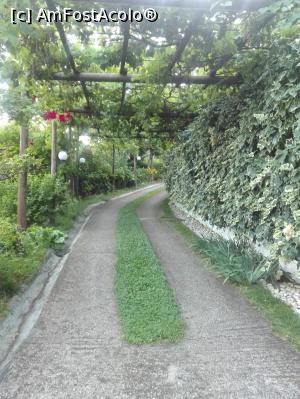 [P06] intrarea in curte » foto by yuliansch
 - 
<span class="allrVoted glyphicon glyphicon-heart hidden" id="av996016"></span>
<a class="m-l-10 hidden" id="sv996016" onclick="voting_Foto_DelVot(,996016,2590)" role="button">șterge vot <span class="glyphicon glyphicon-remove"></span></a>
<a id="v9996016" class=" c-red"  onclick="voting_Foto_SetVot(996016)" role="button"><span class="glyphicon glyphicon-heart-empty"></span> <b>LIKE</b> = Votează poza</a> <img class="hidden"  id="f996016W9" src="/imagini/loader.gif" border="0" /><span class="AjErrMes hidden" id="e996016ErM"></span>
