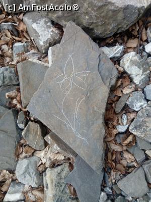 [P01] Prima narcisa intalnita » foto by Denisa13
 - 
<span class="allrVoted glyphicon glyphicon-heart hidden" id="av970166"></span>
<a class="m-l-10 hidden" id="sv970166" onclick="voting_Foto_DelVot(,970166,2603)" role="button">șterge vot <span class="glyphicon glyphicon-remove"></span></a>
<a id="v9970166" class=" c-red"  onclick="voting_Foto_SetVot(970166)" role="button"><span class="glyphicon glyphicon-heart-empty"></span> <b>LIKE</b> = Votează poza</a> <img class="hidden"  id="f970166W9" src="/imagini/loader.gif" border="0" /><span class="AjErrMes hidden" id="e970166ErM"></span>