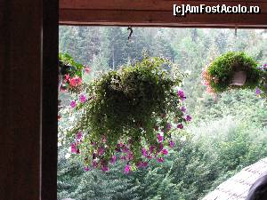 [P01] aranjamente florale vazute din restaurant » foto by A&C
 - 
<span class="allrVoted glyphicon glyphicon-heart hidden" id="av655149"></span>
<a class="m-l-10 hidden" id="sv655149" onclick="voting_Foto_DelVot(,655149,2604)" role="button">șterge vot <span class="glyphicon glyphicon-remove"></span></a>
<a id="v9655149" class=" c-red"  onclick="voting_Foto_SetVot(655149)" role="button"><span class="glyphicon glyphicon-heart-empty"></span> <b>LIKE</b> = Votează poza</a> <img class="hidden"  id="f655149W9" src="/imagini/loader.gif" border="0" /><span class="AjErrMes hidden" id="e655149ErM"></span>