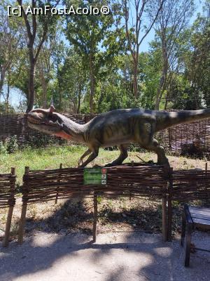 [P21] Un dinozaur nervos » foto by Doru  Savin
 - 
<span class="allrVoted glyphicon glyphicon-heart hidden" id="av1380571"></span>
<a class="m-l-10 hidden" id="sv1380571" onclick="voting_Foto_DelVot(,1380571,2610)" role="button">șterge vot <span class="glyphicon glyphicon-remove"></span></a>
<a id="v91380571" class=" c-red"  onclick="voting_Foto_SetVot(1380571)" role="button"><span class="glyphicon glyphicon-heart-empty"></span> <b>LIKE</b> = Votează poza</a> <img class="hidden"  id="f1380571W9" src="/imagini/loader.gif" border="0" /><span class="AjErrMes hidden" id="e1380571ErM"></span>