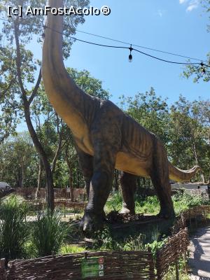 [P23] Dinozaur ierbivor » foto by Doru  Savin
 - 
<span class="allrVoted glyphicon glyphicon-heart hidden" id="av1380573"></span>
<a class="m-l-10 hidden" id="sv1380573" onclick="voting_Foto_DelVot(,1380573,2610)" role="button">șterge vot <span class="glyphicon glyphicon-remove"></span></a>
<a id="v91380573" class=" c-red"  onclick="voting_Foto_SetVot(1380573)" role="button"><span class="glyphicon glyphicon-heart-empty"></span> <b>LIKE</b> = Votează poza</a> <img class="hidden"  id="f1380573W9" src="/imagini/loader.gif" border="0" /><span class="AjErrMes hidden" id="e1380573ErM"></span>