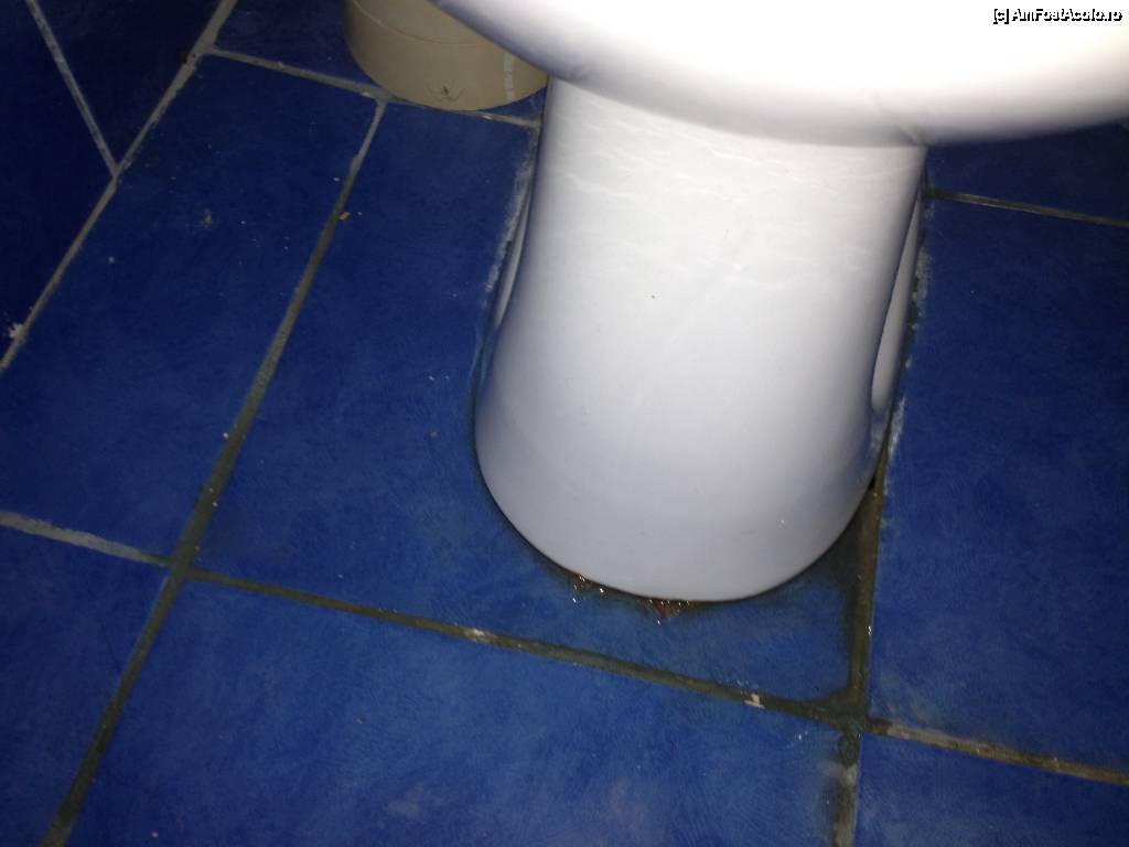 [P11]  -- <small>// FĂRĂ DESCRIERE</small> » foto by sebestean
 - 
<span class="allrVoted glyphicon glyphicon-heart hidden" id="av450581"></span>
<a class="m-l-10 hidden" id="sv450581" onclick="voting_Foto_DelVot(,450581,2611)" role="button">șterge vot <span class="glyphicon glyphicon-remove"></span></a>
<a id="v9450581" class=" c-red"  onclick="voting_Foto_SetVot(450581)" role="button"><span class="glyphicon glyphicon-heart-empty"></span> <b>LIKE</b> = Votează poza</a> <img class="hidden"  id="f450581W9" src="/imagini/loader.gif" border="0" /><span class="AjErrMes hidden" id="e450581ErM"></span>