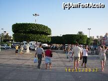 [P23] Zona turistică a oraşului Sousse... original modul de a tunde copacii, nu? » foto by bose
 - 
<span class="allrVoted glyphicon glyphicon-heart hidden" id="av216260"></span>
<a class="m-l-10 hidden" id="sv216260" onclick="voting_Foto_DelVot(,216260,2617)" role="button">șterge vot <span class="glyphicon glyphicon-remove"></span></a>
<a id="v9216260" class=" c-red"  onclick="voting_Foto_SetVot(216260)" role="button"><span class="glyphicon glyphicon-heart-empty"></span> <b>LIKE</b> = Votează poza</a> <img class="hidden"  id="f216260W9" src="/imagini/loader.gif" border="0" /><span class="AjErrMes hidden" id="e216260ErM"></span>
