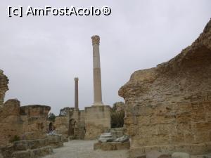 [P10] A doua vacanţă în Tunisia - ruinele băilor romane » foto by nicole33
 - 
<span class="allrVoted glyphicon glyphicon-heart hidden" id="av1239494"></span>
<a class="m-l-10 hidden" id="sv1239494" onclick="voting_Foto_DelVot(,1239494,2617)" role="button">șterge vot <span class="glyphicon glyphicon-remove"></span></a>
<a id="v91239494" class=" c-red"  onclick="voting_Foto_SetVot(1239494)" role="button"><span class="glyphicon glyphicon-heart-empty"></span> <b>LIKE</b> = Votează poza</a> <img class="hidden"  id="f1239494W9" src="/imagini/loader.gif" border="0" /><span class="AjErrMes hidden" id="e1239494ErM"></span>