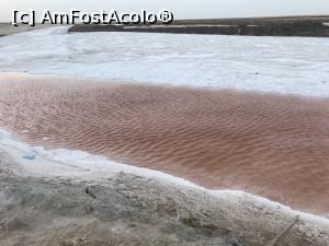[P12] A doua vacanță în Tunisia – Chott el Jerid » foto by nicole33
 - 
<span class="allrVoted glyphicon glyphicon-heart hidden" id="av1239496"></span>
<a class="m-l-10 hidden" id="sv1239496" onclick="voting_Foto_DelVot(,1239496,2617)" role="button">șterge vot <span class="glyphicon glyphicon-remove"></span></a>
<a id="v91239496" class=" c-red"  onclick="voting_Foto_SetVot(1239496)" role="button"><span class="glyphicon glyphicon-heart-empty"></span> <b>LIKE</b> = Votează poza</a> <img class="hidden"  id="f1239496W9" src="/imagini/loader.gif" border="0" /><span class="AjErrMes hidden" id="e1239496ErM"></span>