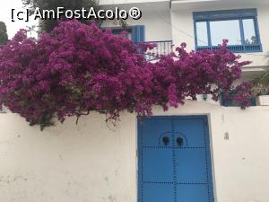 [P05] A doua vacanţă în Tunisia - Sidi Bou Said » foto by nicole33
 - 
<span class="allrVoted glyphicon glyphicon-heart hidden" id="av1239489"></span>
<a class="m-l-10 hidden" id="sv1239489" onclick="voting_Foto_DelVot(,1239489,2617)" role="button">șterge vot <span class="glyphicon glyphicon-remove"></span></a>
<a id="v91239489" class=" c-red"  onclick="voting_Foto_SetVot(1239489)" role="button"><span class="glyphicon glyphicon-heart-empty"></span> <b>LIKE</b> = Votează poza</a> <img class="hidden"  id="f1239489W9" src="/imagini/loader.gif" border="0" /><span class="AjErrMes hidden" id="e1239489ErM"></span>