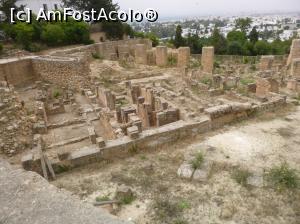 [P28] Cu avionul în Tunisia - ruinele Cartaginei » foto by nicole33
 - 
<span class="allrVoted glyphicon glyphicon-heart hidden" id="av1078546"></span>
<a class="m-l-10 hidden" id="sv1078546" onclick="voting_Foto_DelVot(,1078546,2617)" role="button">șterge vot <span class="glyphicon glyphicon-remove"></span></a>
<a id="v91078546" class=" c-red"  onclick="voting_Foto_SetVot(1078546)" role="button"><span class="glyphicon glyphicon-heart-empty"></span> <b>LIKE</b> = Votează poza</a> <img class="hidden"  id="f1078546W9" src="/imagini/loader.gif" border="0" /><span class="AjErrMes hidden" id="e1078546ErM"></span>