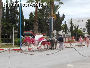 [P18] Tunisia - El Kantaoui. Plimbare de agrement cu trăsura.  » foto by iulianic
 - 
<span class="allrVoted glyphicon glyphicon-heart hidden" id="av1075374"></span>
<a class="m-l-10 hidden" id="sv1075374" onclick="voting_Foto_DelVot(,1075374,2617)" role="button">șterge vot <span class="glyphicon glyphicon-remove"></span></a>
<a id="v91075374" class=" c-red"  onclick="voting_Foto_SetVot(1075374)" role="button"><span class="glyphicon glyphicon-heart-empty"></span> <b>LIKE</b> = Votează poza</a> <img class="hidden"  id="f1075374W9" src="/imagini/loader.gif" border="0" /><span class="AjErrMes hidden" id="e1075374ErM"></span>