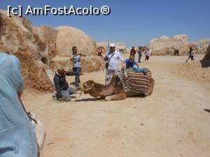 [P52] Tunisia - În deșert.  » foto by iulianic
 - 
<span class="allrVoted glyphicon glyphicon-heart hidden" id="av1075426"></span>
<a class="m-l-10 hidden" id="sv1075426" onclick="voting_Foto_DelVot(,1075426,2617)" role="button">șterge vot <span class="glyphicon glyphicon-remove"></span></a>
<a id="v91075426" class=" c-red"  onclick="voting_Foto_SetVot(1075426)" role="button"><span class="glyphicon glyphicon-heart-empty"></span> <b>LIKE</b> = Votează poza</a> <img class="hidden"  id="f1075426W9" src="/imagini/loader.gif" border="0" /><span class="AjErrMes hidden" id="e1075426ErM"></span>