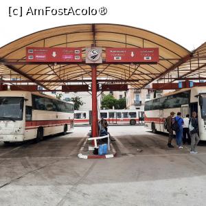 [P09] Tunis, Gara de Autobuze numită și Stația Bab Alioua, Autobuzul 105 ce merge la Hammamat » foto by mprofeanu
 - 
<span class="allrVoted glyphicon glyphicon-heart hidden" id="av1430556"></span>
<a class="m-l-10 hidden" id="sv1430556" onclick="voting_Foto_DelVot(,1430556,2617)" role="button">șterge vot <span class="glyphicon glyphicon-remove"></span></a>
<a id="v91430556" class=" c-red"  onclick="voting_Foto_SetVot(1430556)" role="button"><span class="glyphicon glyphicon-heart-empty"></span> <b>LIKE</b> = Votează poza</a> <img class="hidden"  id="f1430556W9" src="/imagini/loader.gif" border="0" /><span class="AjErrMes hidden" id="e1430556ErM"></span>