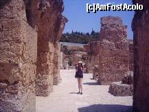 [P20] Imensele coloane ale primului nivel al bailor » foto by liviadavidescu
 - 
<span class="allrVoted glyphicon glyphicon-heart hidden" id="av146573"></span>
<a class="m-l-10 hidden" id="sv146573" onclick="voting_Foto_DelVot(,146573,2617)" role="button">șterge vot <span class="glyphicon glyphicon-remove"></span></a>
<a id="v9146573" class=" c-red"  onclick="voting_Foto_SetVot(146573)" role="button"><span class="glyphicon glyphicon-heart-empty"></span> <b>LIKE</b> = Votează poza</a> <img class="hidden"  id="f146573W9" src="/imagini/loader.gif" border="0" /><span class="AjErrMes hidden" id="e146573ErM"></span>