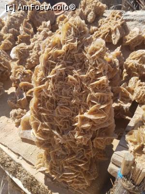[P14] Trandafirul desertului » foto by gabivoicu
 - 
<span class="allrVoted glyphicon glyphicon-heart hidden" id="av1273817"></span>
<a class="m-l-10 hidden" id="sv1273817" onclick="voting_Foto_DelVot(,1273817,2617)" role="button">șterge vot <span class="glyphicon glyphicon-remove"></span></a>
<a id="v91273817" class=" c-red"  onclick="voting_Foto_SetVot(1273817)" role="button"><span class="glyphicon glyphicon-heart-empty"></span> <b>LIKE</b> = Votează poza</a> <img class="hidden"  id="f1273817W9" src="/imagini/loader.gif" border="0" /><span class="AjErrMes hidden" id="e1273817ErM"></span>