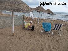 [P18] e exotic sa fii pe o plaja aproape pustie , cu animalutul caruia i s-a facut sete de cat a alergat , simtind si el gustul adevaratei libertati de miscare » foto by ileana45
 - 
<span class="allrVoted glyphicon glyphicon-heart hidden" id="av231845"></span>
<a class="m-l-10 hidden" id="sv231845" onclick="voting_Foto_DelVot(,231845,2617)" role="button">șterge vot <span class="glyphicon glyphicon-remove"></span></a>
<a id="v9231845" class=" c-red"  onclick="voting_Foto_SetVot(231845)" role="button"><span class="glyphicon glyphicon-heart-empty"></span> <b>LIKE</b> = Votează poza</a> <img class="hidden"  id="f231845W9" src="/imagini/loader.gif" border="0" /><span class="AjErrMes hidden" id="e231845ErM"></span>