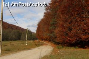 [P05] Mânăstirea Robaia, toamna, pe drumul neasfaltat » foto by mprofeanu
 - 
<span class="allrVoted glyphicon glyphicon-heart hidden" id="av808275"></span>
<a class="m-l-10 hidden" id="sv808275" onclick="voting_Foto_DelVot(,808275,2618)" role="button">șterge vot <span class="glyphicon glyphicon-remove"></span></a>
<a id="v9808275" class=" c-red"  onclick="voting_Foto_SetVot(808275)" role="button"><span class="glyphicon glyphicon-heart-empty"></span> <b>LIKE</b> = Votează poza</a> <img class="hidden"  id="f808275W9" src="/imagini/loader.gif" border="0" /><span class="AjErrMes hidden" id="e808275ErM"></span>
