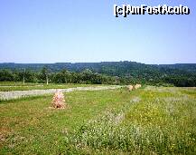 [P45] Plaiuri argeșene în drumul de întoarcere de la Mănăstirea Robaia » foto by mariana.olaru
 - 
<span class="allrVoted glyphicon glyphicon-heart hidden" id="av155037"></span>
<a class="m-l-10 hidden" id="sv155037" onclick="voting_Foto_DelVot(,155037,2618)" role="button">șterge vot <span class="glyphicon glyphicon-remove"></span></a>
<a id="v9155037" class=" c-red"  onclick="voting_Foto_SetVot(155037)" role="button"><span class="glyphicon glyphicon-heart-empty"></span> <b>LIKE</b> = Votează poza</a> <img class="hidden"  id="f155037W9" src="/imagini/loader.gif" border="0" /><span class="AjErrMes hidden" id="e155037ErM"></span>
