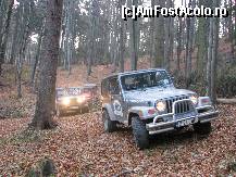 [P03]  -- <small>// FĂRĂ DESCRIERE</small> » foto by gvaly
 - 
<span class="allrVoted glyphicon glyphicon-heart hidden" id="av277217"></span>
<a class="m-l-10 hidden" id="sv277217" onclick="voting_Foto_DelVot(,277217,2622)" role="button">șterge vot <span class="glyphicon glyphicon-remove"></span></a>
<a id="v9277217" class=" c-red"  onclick="voting_Foto_SetVot(277217)" role="button"><span class="glyphicon glyphicon-heart-empty"></span> <b>LIKE</b> = Votează poza</a> <img class="hidden"  id="f277217W9" src="/imagini/loader.gif" border="0" /><span class="AjErrMes hidden" id="e277217ErM"></span>