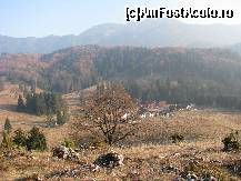 [P04] just Romania - Poiana Brasov » foto by gvaly
 - 
<span class="allrVoted glyphicon glyphicon-heart hidden" id="av277218"></span>
<a class="m-l-10 hidden" id="sv277218" onclick="voting_Foto_DelVot(,277218,2622)" role="button">șterge vot <span class="glyphicon glyphicon-remove"></span></a>
<a id="v9277218" class=" c-red"  onclick="voting_Foto_SetVot(277218)" role="button"><span class="glyphicon glyphicon-heart-empty"></span> <b>LIKE</b> = Votează poza</a> <img class="hidden"  id="f277218W9" src="/imagini/loader.gif" border="0" /><span class="AjErrMes hidden" id="e277218ErM"></span>