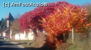 [P01] A venit toamna!  » foto by dorgo
 - 
<span class="allrVoted glyphicon glyphicon-heart hidden" id="av1047640"></span>
<a class="m-l-10 hidden" id="sv1047640" onclick="voting_Foto_DelVot(,1047640,2622)" role="button">șterge vot <span class="glyphicon glyphicon-remove"></span></a>
<a id="v91047640" class=" c-red"  onclick="voting_Foto_SetVot(1047640)" role="button"><span class="glyphicon glyphicon-heart-empty"></span> <b>LIKE</b> = Votează poza</a> <img class="hidden"  id="f1047640W9" src="/imagini/loader.gif" border="0" /><span class="AjErrMes hidden" id="e1047640ErM"></span>