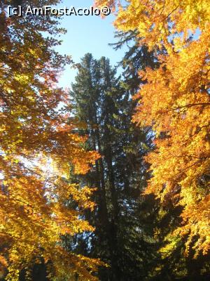 [P10] Verdele si galbenul, doua culori care simpatizeaza intre ele » foto by dorgo
 - 
<span class="allrVoted glyphicon glyphicon-heart hidden" id="av1047649"></span>
<a class="m-l-10 hidden" id="sv1047649" onclick="voting_Foto_DelVot(,1047649,2622)" role="button">șterge vot <span class="glyphicon glyphicon-remove"></span></a>
<a id="v91047649" class=" c-red"  onclick="voting_Foto_SetVot(1047649)" role="button"><span class="glyphicon glyphicon-heart-empty"></span> <b>LIKE</b> = Votează poza</a> <img class="hidden"  id="f1047649W9" src="/imagini/loader.gif" border="0" /><span class="AjErrMes hidden" id="e1047649ErM"></span>