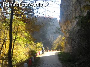 [P11] Pietrele lui Solomon » foto by dorgo
 - 
<span class="allrVoted glyphicon glyphicon-heart hidden" id="av1047650"></span>
<a class="m-l-10 hidden" id="sv1047650" onclick="voting_Foto_DelVot(,1047650,2622)" role="button">șterge vot <span class="glyphicon glyphicon-remove"></span></a>
<a id="v91047650" class=" c-red"  onclick="voting_Foto_SetVot(1047650)" role="button"><span class="glyphicon glyphicon-heart-empty"></span> <b>LIKE</b> = Votează poza</a> <img class="hidden"  id="f1047650W9" src="/imagini/loader.gif" border="0" /><span class="AjErrMes hidden" id="e1047650ErM"></span>