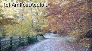 [P15] Drumul de intoarecere, parca e si mai frumos!  » foto by dorgo
 - 
<span class="allrVoted glyphicon glyphicon-heart hidden" id="av1047654"></span>
<a class="m-l-10 hidden" id="sv1047654" onclick="voting_Foto_DelVot(,1047654,2622)" role="button">șterge vot <span class="glyphicon glyphicon-remove"></span></a>
<a id="v91047654" class=" c-red"  onclick="voting_Foto_SetVot(1047654)" role="button"><span class="glyphicon glyphicon-heart-empty"></span> <b>LIKE</b> = Votează poza</a> <img class="hidden"  id="f1047654W9" src="/imagini/loader.gif" border="0" /><span class="AjErrMes hidden" id="e1047654ErM"></span>